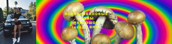 spice Арсеньев